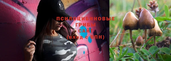 Альфа ПВП Алзамай