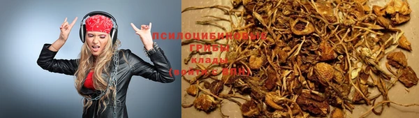 ешки Алексеевка