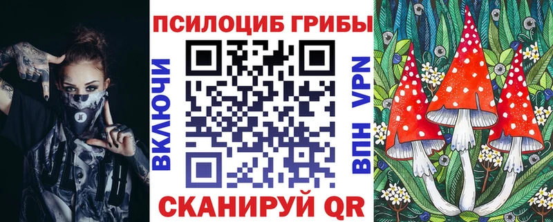 Галлюциногенные грибы мицелий  наркота  ссылка на мегу как зайти  Печоры 